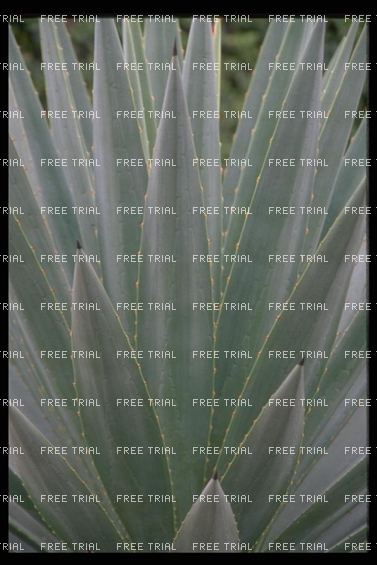 Click to go back